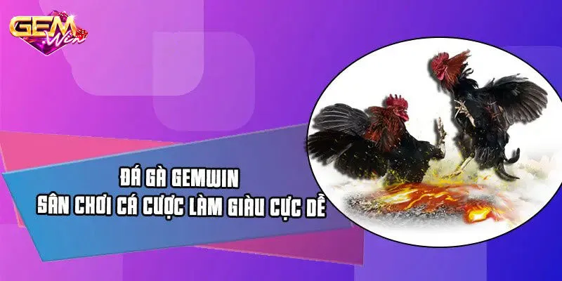 Vài nét cơ bản về đá gà Gemwin